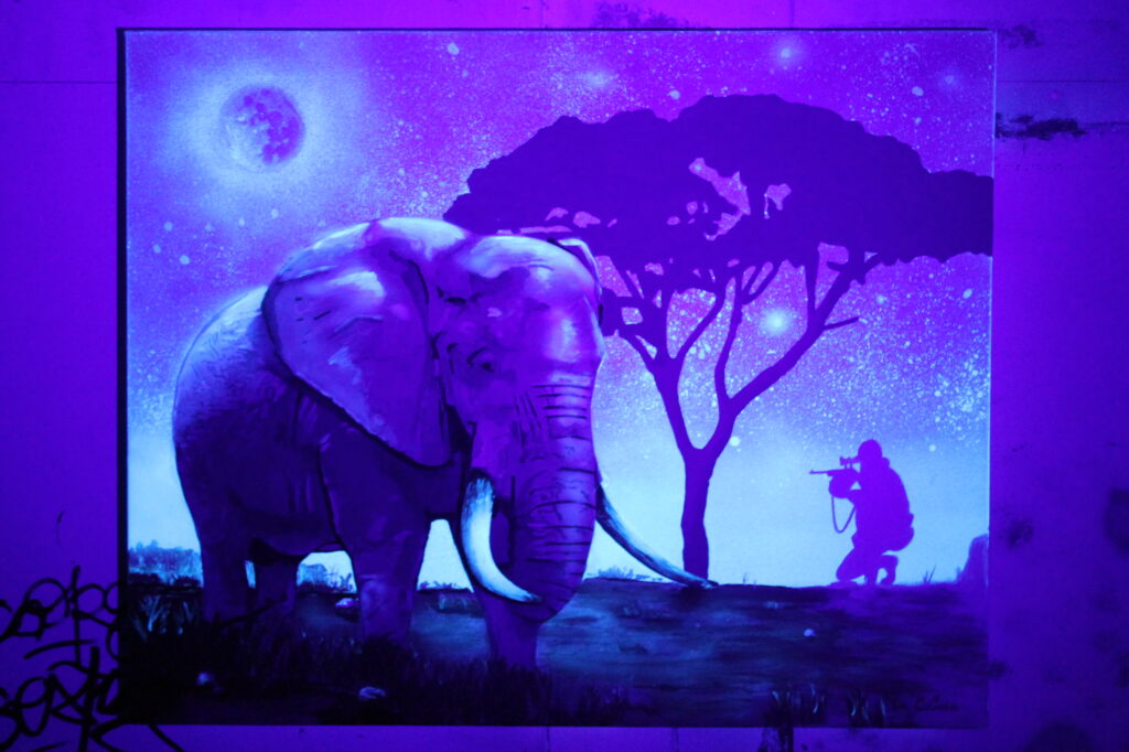 ELEPHANT ROSE